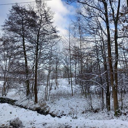 Szewska Pasja Agroturystyka Wiejska Лесьна Экстерьер фото