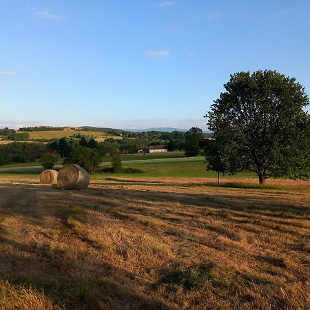 Szewska Pasja Agroturystyka Wiejska Лесьна Экстерьер фото