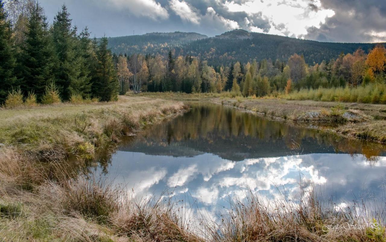 Szewska Pasja Agroturystyka Wiejska Лесьна Экстерьер фото