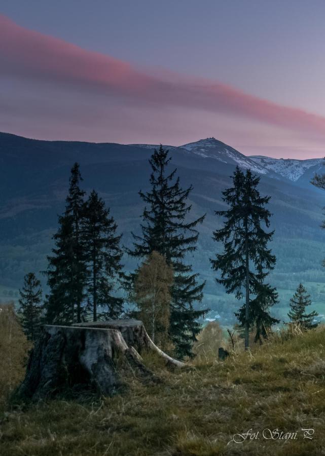 Szewska Pasja Agroturystyka Wiejska Лесьна Экстерьер фото