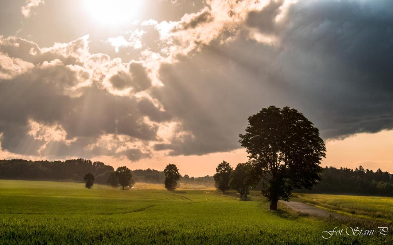 Szewska Pasja Agroturystyka Wiejska Лесьна Экстерьер фото
