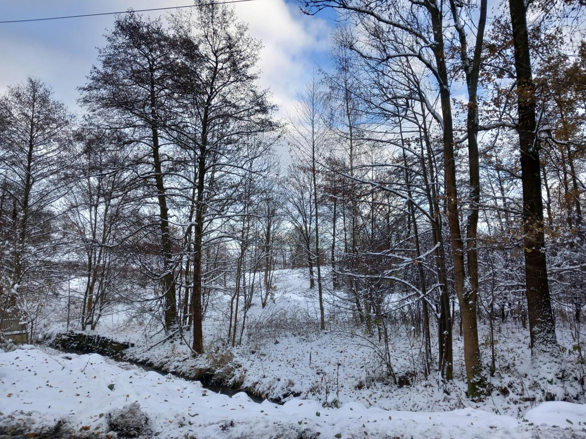 Szewska Pasja Agroturystyka Wiejska Лесьна Экстерьер фото