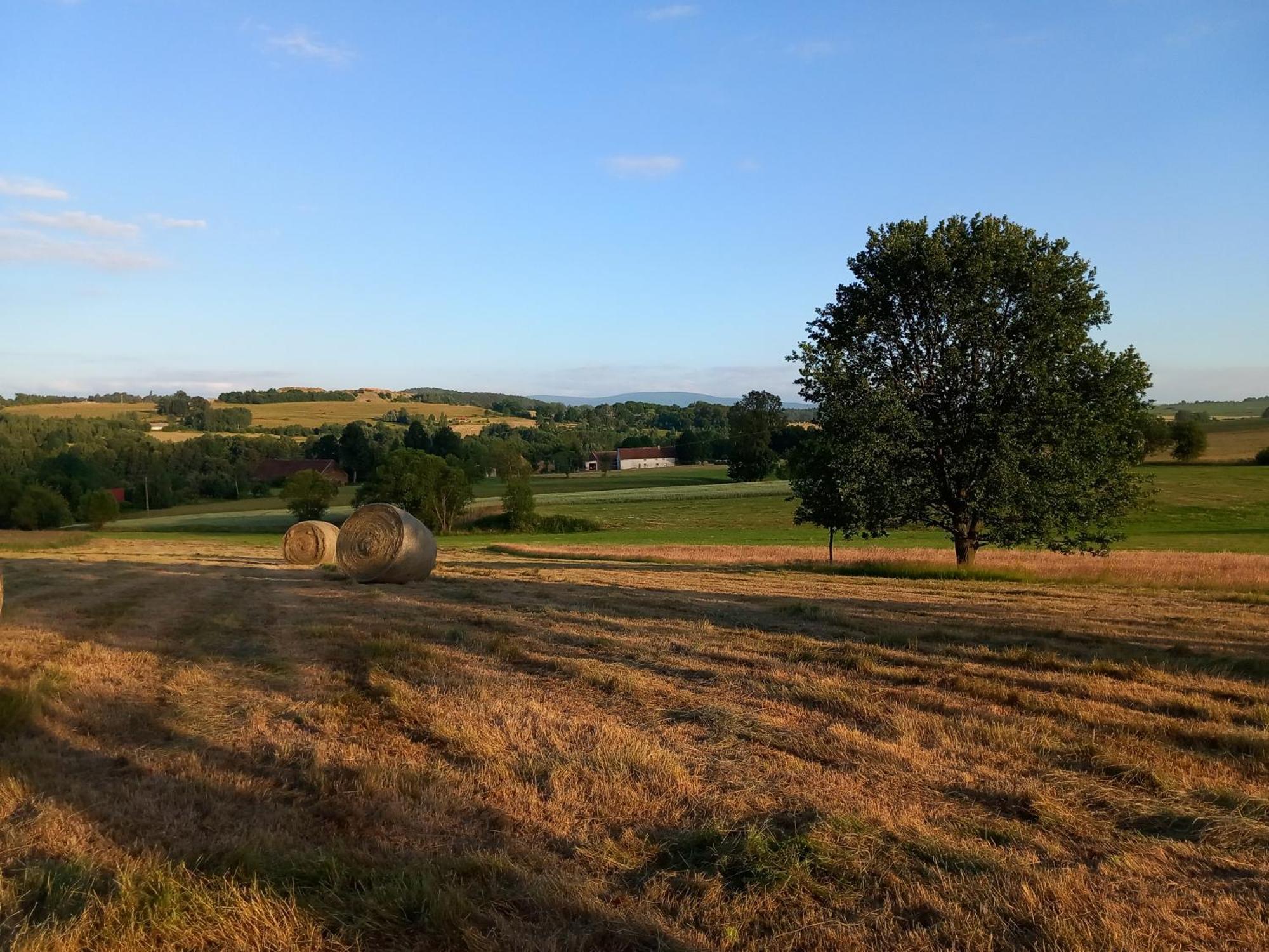 Szewska Pasja Agroturystyka Wiejska Лесьна Экстерьер фото