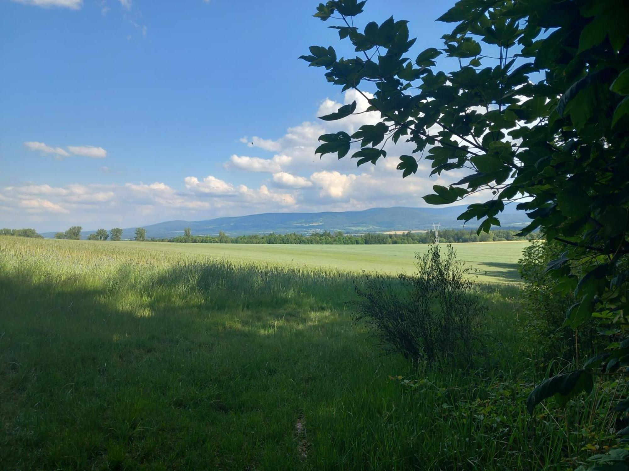 Szewska Pasja Agroturystyka Wiejska Лесьна Экстерьер фото